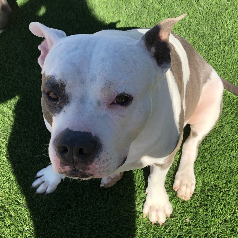 Meet your Posher, Gabriella